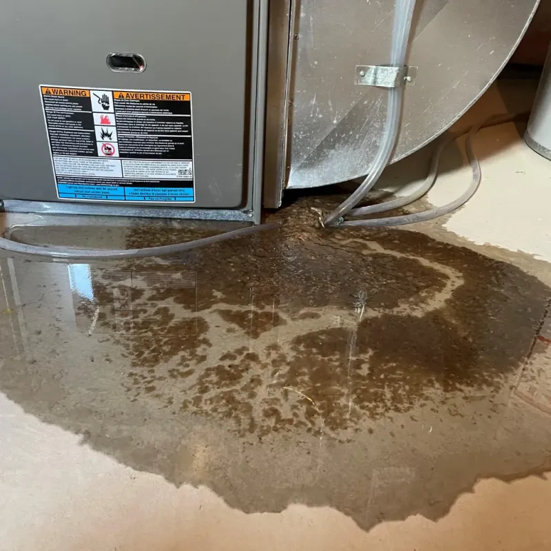 Appliance Leak Cleanup in Chalkville, AL